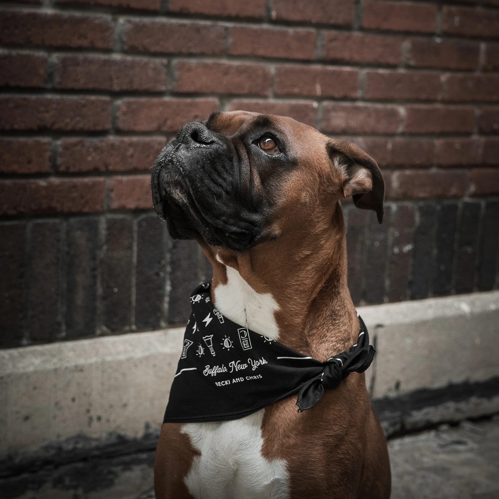 Capture Photons Bandana - Image 5